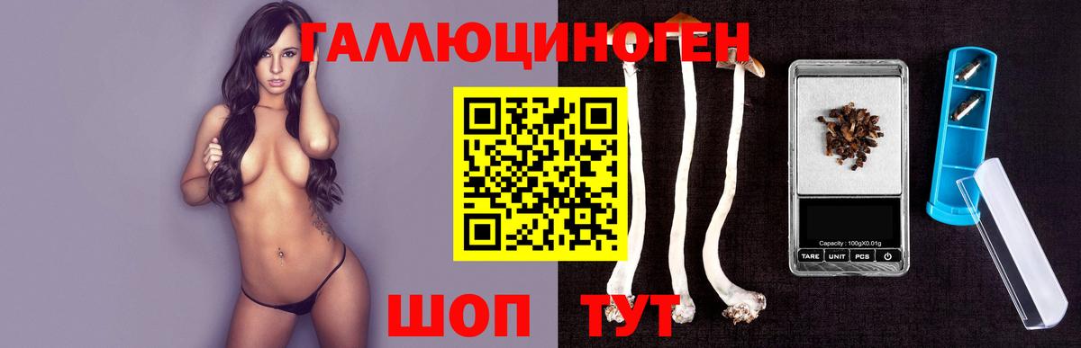 Туапсе  Галлюциногенные грибы Cubensis  Вход с VPN 